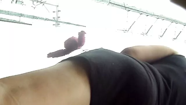 Orgía comiendo videos xxx subtitulados español coño