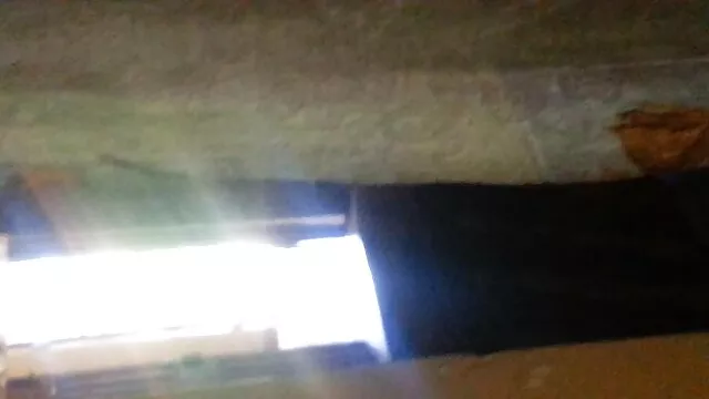 Elif tanyelitan cam show anal subtitulado español
