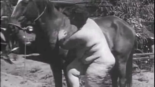 Abuelas porno sub en castellano 3